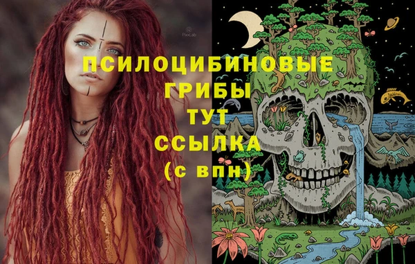 бошки Аркадак