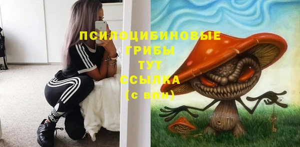 мескалин Арсеньев