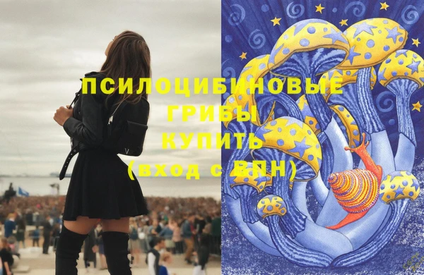 кокс Армянск