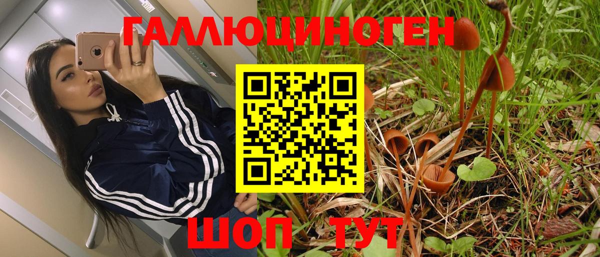 Псилоцибиновые грибы Magic Shrooms  Вход с VPN  Белогорск  Псилоцибиновые грибы Psilocybe 